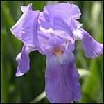 DSCN0055.JPG